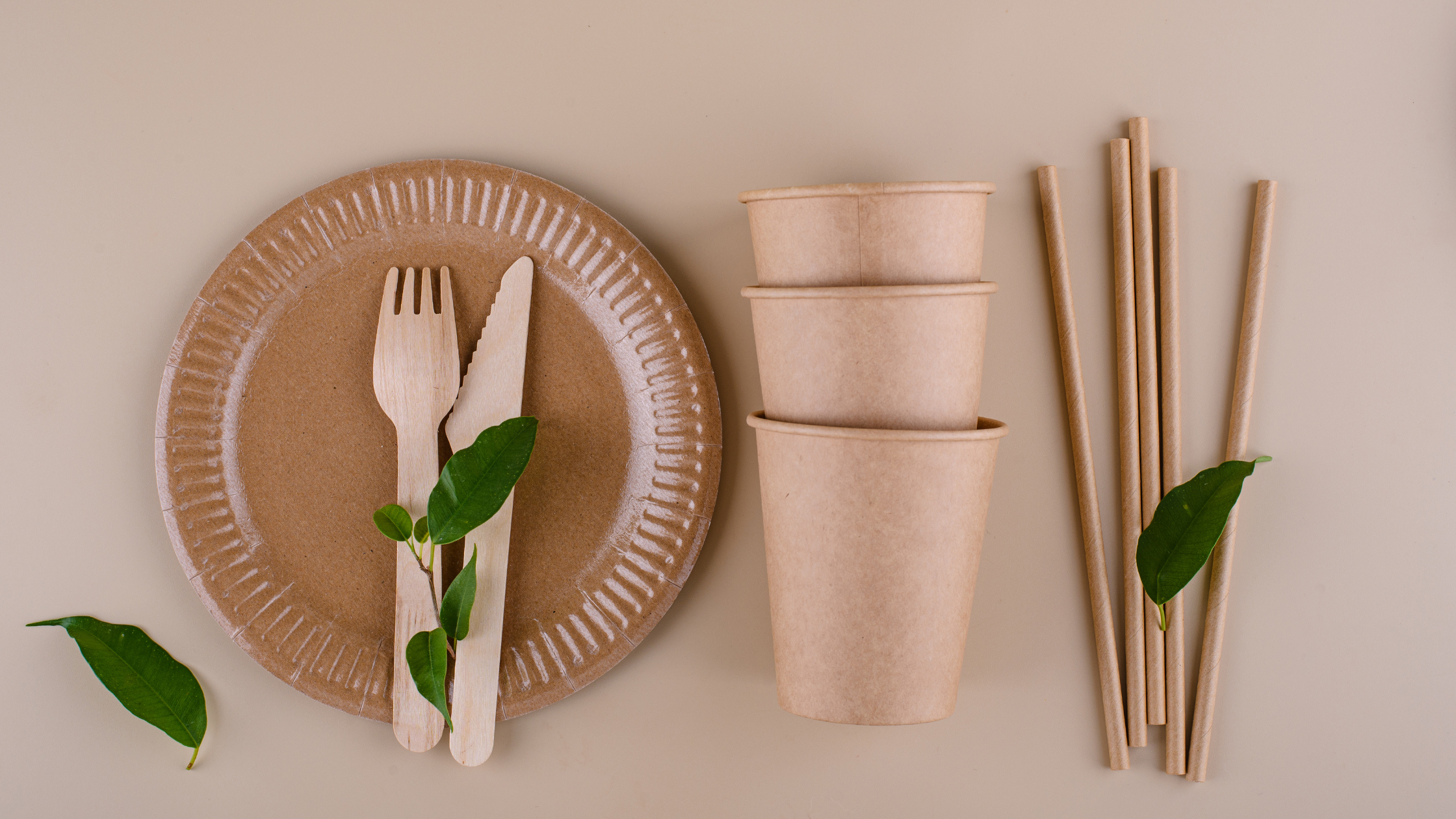 esempi di packaging sostenibili per hotel e ristoranti  