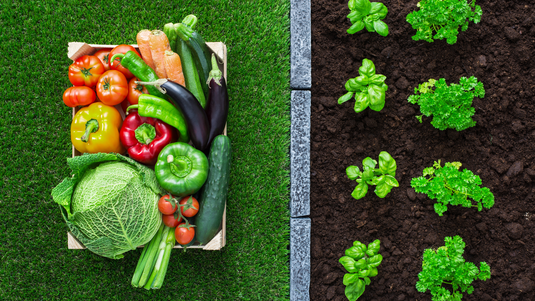 tracciabilità alimentare di materie prime